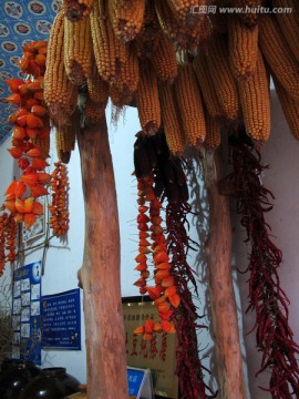 玉米 红辣椒 果实 植物 装饰