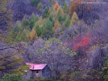 山脉 植被 秋景 木屋 树木