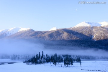 雪山 森林