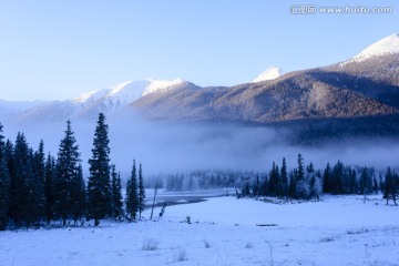 雪山 森林