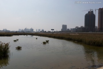 防城港湿地公园一角