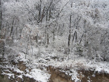 冰雪世界