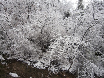 冰雪世界