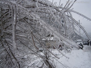 山上的雪