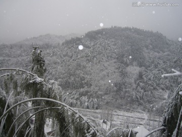 山上的雪