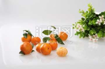 砂糖橘 橘子 桔子 橙子 芦柑