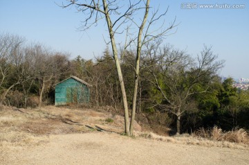 佘山风光 树木 木屋