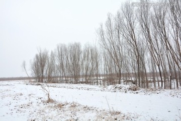 雪景 冬景