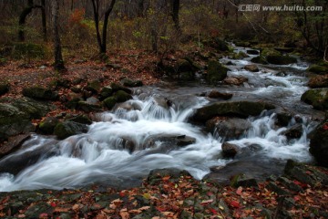 青石 溪水 溪流 落英 山泉