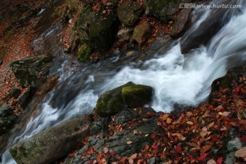 水 溪水 溪流 落英 绿石