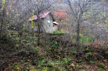 野趣 木屋 红叶 秋景 枫叶