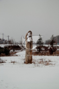 雪地里的石头