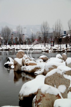 湖畔风景