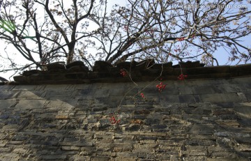 滁州老城旧房古墙
