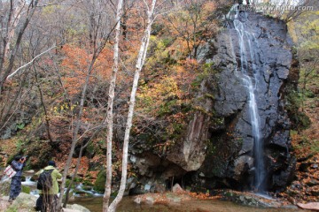 瀑布 秋景 红叶 枫树 流水