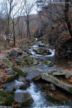 瀑布 溪流 秋景 红叶 枫树