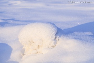 冬雪