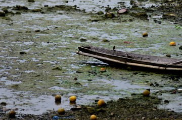 干枯 河道