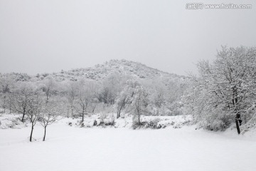 雪景