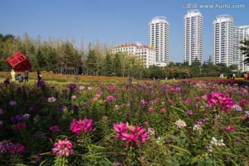 烟台海滨公园