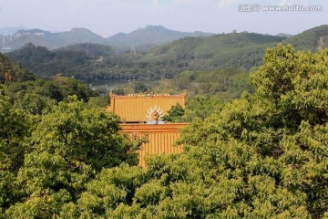 深圳仙湖植物园风景