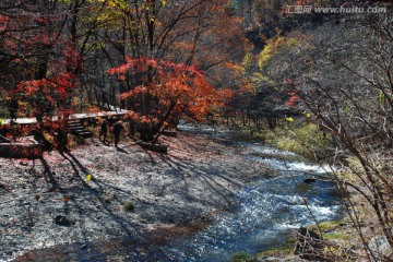 红叶 秋景 枫树 山脉 溪水