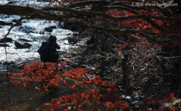 红叶 秋景 枫树 摄影人