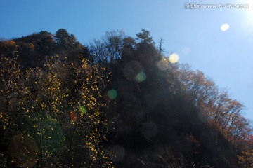 山脉 植被 秋景 树木 蓝天