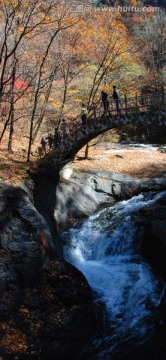 红叶 秋景 石桥 溪水 枫叶