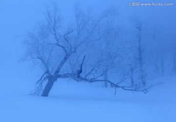 冰雪世界