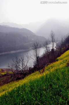 白龙湖风光