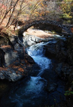 红叶 秋景 石桥 溪水 枫叶