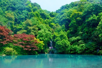 杭州九溪烟树风景