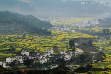 江西婺源油菜花风光