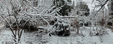 雪景兆丰年