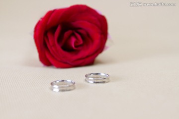玫瑰花与戒指