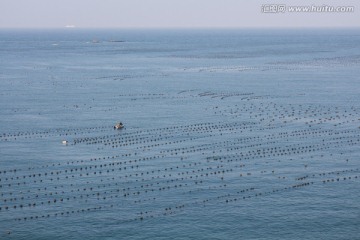 海水养殖