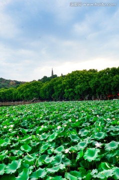 杭州西湖风景