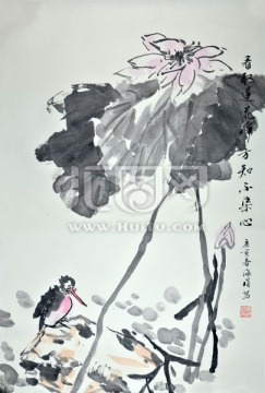 國畫荷花小鳥