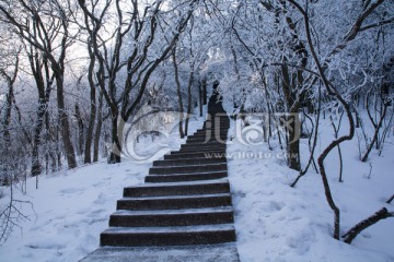 雪后黄山