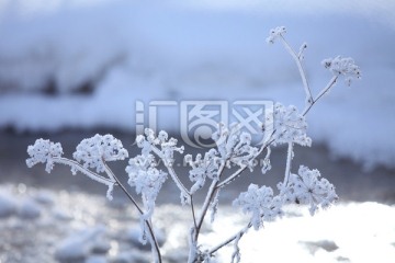 坝上草原雪景