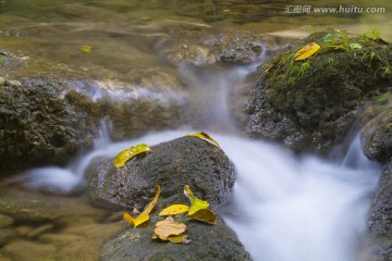 秋天的小溪