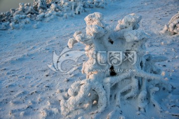 雪花