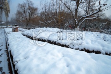 雪后公园