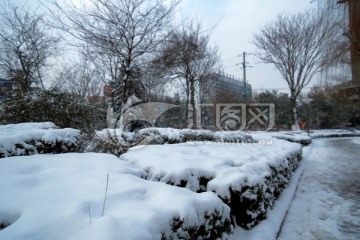 公园雪景