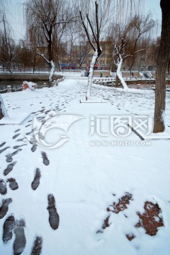 大雪后的公园