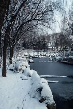 公园雪景