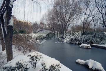 雪后园林景观