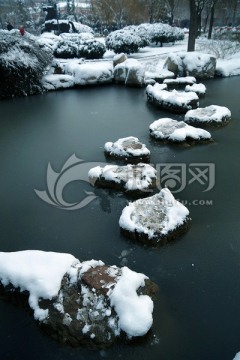 公园雪景