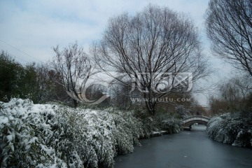 公园雪景